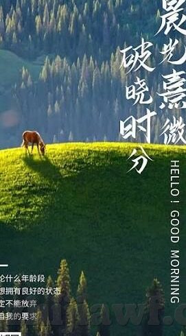 麻豆传媒官网地址-麻豆传媒，数字化时代的创意与传播之力