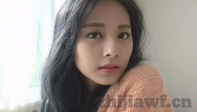 糖心vlog官网下载安装-全面了解糖心vlog，从官网下载到安装的详细指南